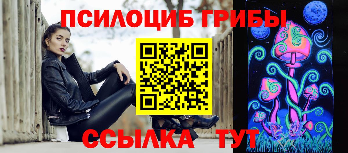 Галлюциногенные грибы Psilocybe Саяногорск