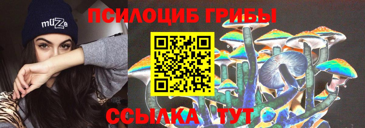 Псилоцибиновые грибы Psilocybe  Псилоцибиновые грибы ЛСД  Вход с VPN  Саяногорск 